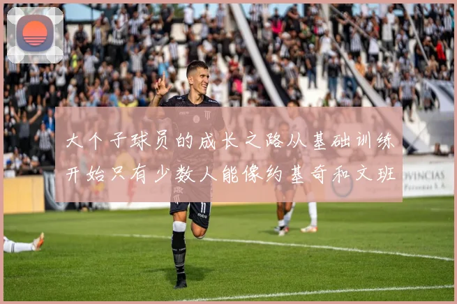 大个子球员的成长之路从基础训练开始只有少数人能像约基奇和文班那样成功