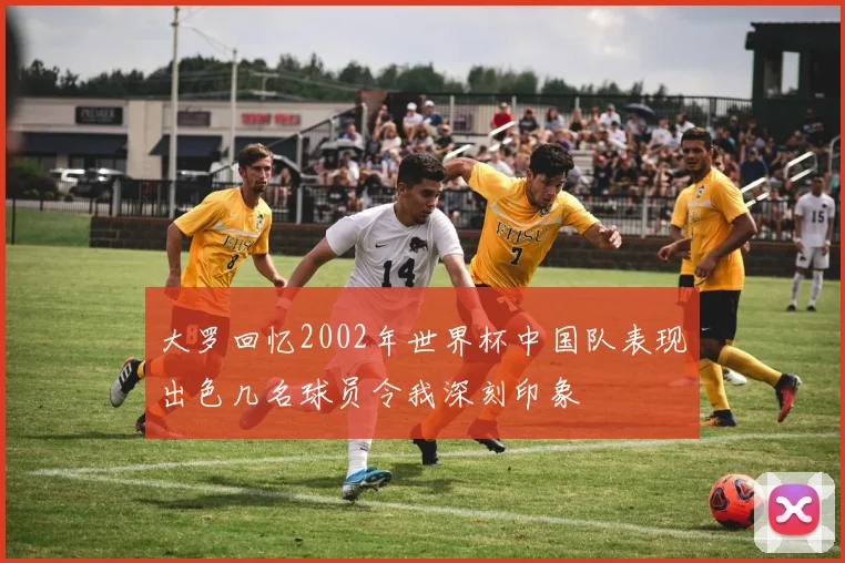 大罗回忆2002年世界杯中国队表现出色几名球员令我深刻印象